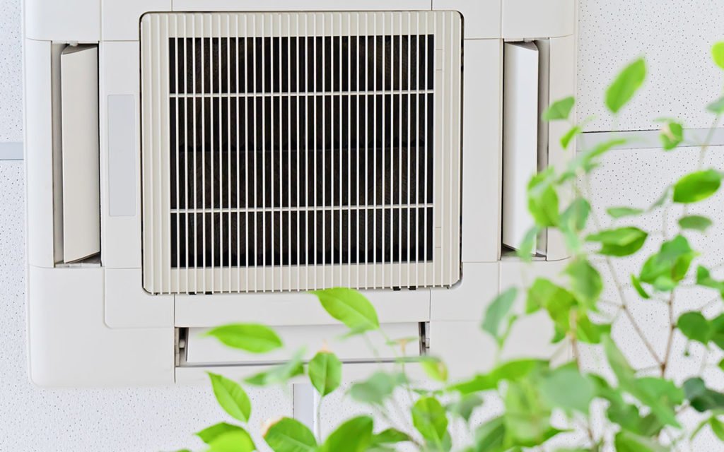 air vent with plant in foreground
