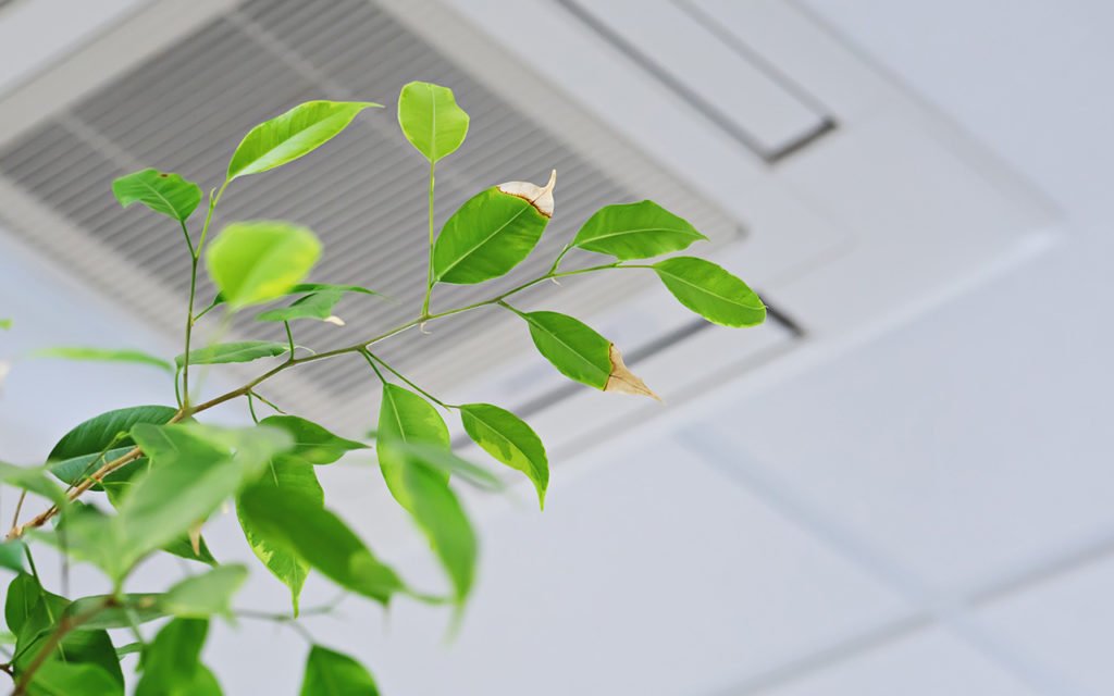 leaves near a vent