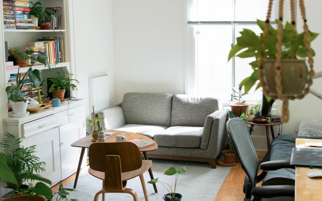 Bright interior with lots of house plants